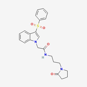 molecular formula C23H25N3O4S B2855944 2-[3-(benzenesulfonyl)-1H-indol-1-yl]-N-[3-(2-oxopyrrolidin-1-yl)propyl]acetamide CAS No. 942003-76-1