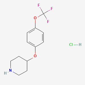 4-(4-(Trifluoromethoxy)phenoxy)piperidine hydrochloride