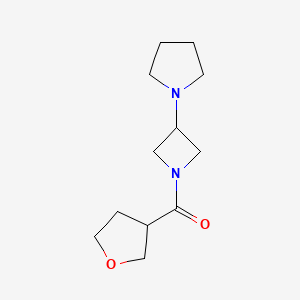 molecular formula C12H20N2O2 B2856595 1-[1-(Oxolane-3-carbonyl)azetidin-3-yl]pyrrolidine CAS No. 2320225-88-3