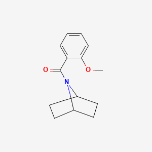molecular formula C14H17NO2 B2857682 7-(2-Methoxybenzoyl)-7-azabicyclo[2.2.1]heptane CAS No. 502925-82-8