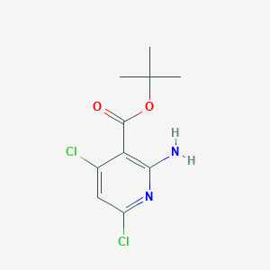 molecular formula C10H12Cl2N2O2 B2858303 Tert-butyl 2-amino-4,6-dichloropyridine-3-carboxylate CAS No. 2248313-18-8