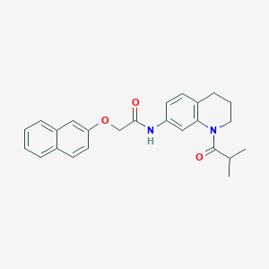 molecular formula C25H26N2O3 B2858348 N-(1-isobutyryl-1,2,3,4-tetrahydroquinolin-7-yl)-2-(naphthalen-2-yloxy)acetamide CAS No. 941944-96-3