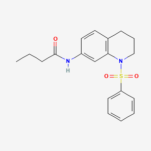 molecular formula C19H22N2O3S B2858564 N-(1-(phenylsulfonyl)-1,2,3,4-tetrahydroquinolin-7-yl)butyramide CAS No. 1005301-23-4