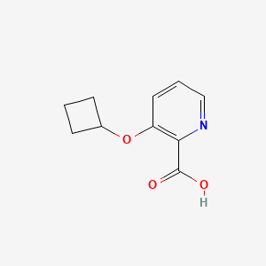 3-Cyclobutoxypyridine-2-carboxylic acid