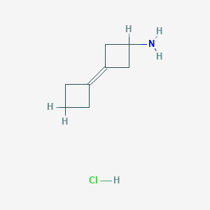 3-Cyclobutylidenecyclobutan-1-amine;hydrochloride