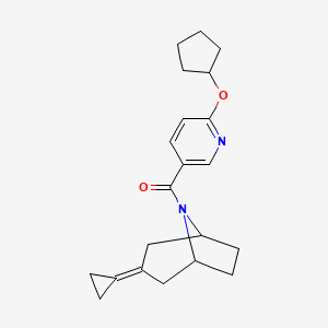 8-[6-(Cyclopentyloxy)pyridine-3-carbonyl]-3-cyclopropylidene-8-azabicyclo[3.2.1]octane
