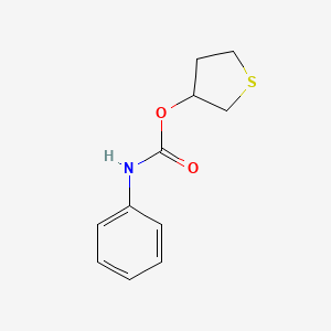 molecular formula C11H13NO2S B2863345 tetrahydrothiophen-3-yl N-phenylcarbamate CAS No. 671181-73-0