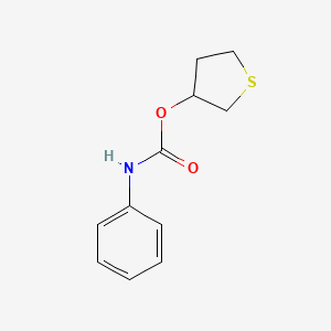 thiolan-3-yl N-phenylcarbamate