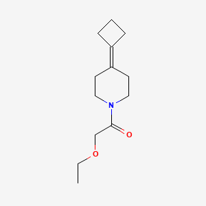 1-(4-Cyclobutylidenepiperidin-1-yl)-2-ethoxyethanone