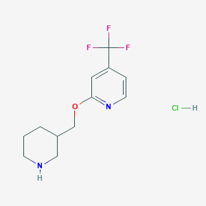 2-(Piperidin-3-ylmethoxy)-4-(trifluoromethyl)pyridine;hydrochloride