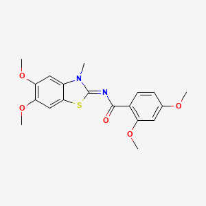 molecular formula C19H20N2O5S B2870932 N-[(2Z)-5,6-dimethoxy-3-methyl-2,3-dihydro-1,3-benzothiazol-2-ylidene]-2,4-dimethoxybenzamide CAS No. 895451-55-5