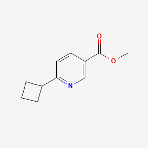 molecular formula C11H13NO2 B2874084 Methyl 6-cyclobutylpyridine-3-carboxylate CAS No. 2109871-68-1