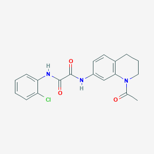 molecular formula C19H18ClN3O3 B2874961 N-(1-acetyl-1,2,3,4-tetrahydroquinolin-7-yl)-N'-(2-chlorophenyl)ethanediamide CAS No. 898466-23-4