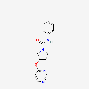 molecular formula C19H24N4O2 B2877375 N-(4-tert-butylphenyl)-3-(pyrimidin-4-yloxy)pyrrolidine-1-carboxamide CAS No. 2034297-85-1