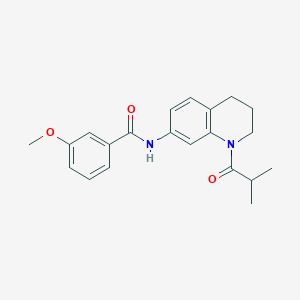 molecular formula C21H24N2O3 B2877689 3-methoxy-N-[1-(2-methylpropanoyl)-1,2,3,4-tetrahydroquinolin-7-yl]benzamide CAS No. 1005301-46-1