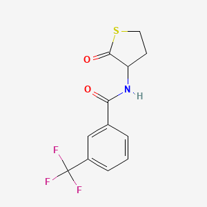 molecular formula C12H10F3NO2S B2878088 N-(2-oxothiolan-3-yl)-3-(trifluoromethyl)benzamide CAS No. 321521-91-9