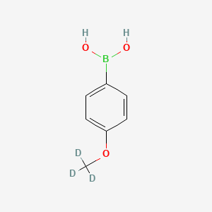 4-(Methoxy-d3)phenylboronic acid