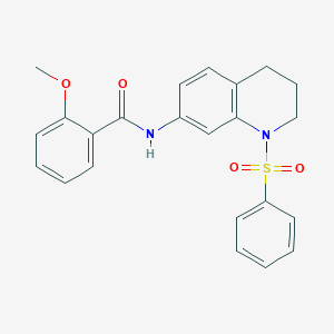 molecular formula C23H22N2O4S B2879286 N-[1-(benzenesulfonyl)-1,2,3,4-tetrahydroquinolin-7-yl]-2-methoxybenzamide CAS No. 1005301-56-3