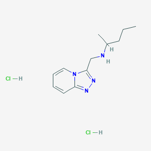 (Pentan-2-yl)({[1,2,4]triazolo[4,3-a]pyridin-3-yl}methyl)amine dihydrochloride