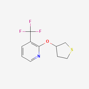 molecular formula C10H10F3NOS B2879781 2-(Thiolan-3-yloxy)-3-(trifluoromethyl)pyridine CAS No. 2176124-38-0
