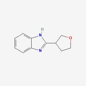 2-(oxolan-3-yl)-1H-1,3-benzodiazole