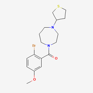 molecular formula C17H23BrN2O2S B2883835 1-(2-Bromo-5-methoxybenzoyl)-4-(thiolan-3-yl)-1,4-diazepane CAS No. 2310101-28-9