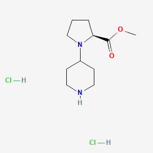 molecular formula C11H22Cl2N2O2 B2883918 Methyl (2S)-1-(piperidin-4-YL)pyrrolidine-2-carboxylate dihydrochloride CAS No. 1202899-22-6
