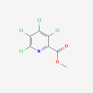 molecular formula C7H3Cl4NO2 B2886228 Methyl 3,4,5,6-tetrachloropyridine-2-carboxylate CAS No. 35592-96-2