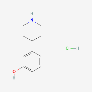 molecular formula C11H16ClNO B2886578 3-(Piperidin-4-yl)phenol hydrochloride CAS No. 1370256-42-0