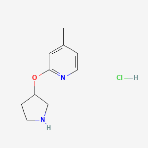 B2887961 4-Methyl-2-(pyrrolidin-3-yloxy)pyridine hydrochloride CAS No. 1420994-15-5