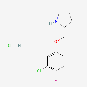 3-Chloro-4-fluorophenyl 2-pyrrolidinylmethyl ether hydrochloride