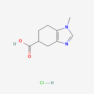 1-Methyl-4,5,6,7-tetrahydrobenzimidazole-5-carboxylic acid hydrochloride