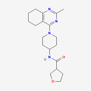 molecular formula C19H28N4O2 B2891008 N-[1-(2-methyl-5,6,7,8-tetrahydroquinazolin-4-yl)piperidin-4-yl]oxolane-3-carboxamide CAS No. 2034411-69-1