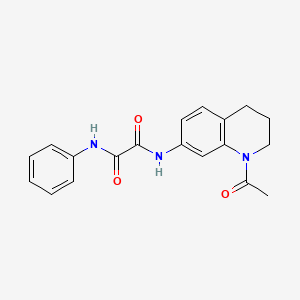 molecular formula C19H19N3O3 B2891018 N-(1-acetyl-1,2,3,4-tetrahydroquinolin-7-yl)-N'-phenylethanediamide CAS No. 898466-18-7