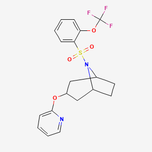 molecular formula C19H19F3N2O4S B2892109 3-(Pyridin-2-yloxy)-8-[2-(trifluoromethoxy)benzenesulfonyl]-8-azabicyclo[3.2.1]octane CAS No. 2109447-04-1