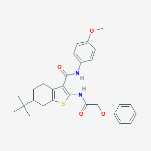 molecular formula C28H32N2O4S B289375 6-TERT-BUTYL-N-(4-METHOXYPHENYL)-2-(2-PHENOXYACETAMIDO)-4,5,6,7-TETRAHYDRO-1-BENZOTHIOPHENE-3-CARBOXAMIDE 