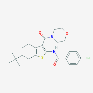 molecular formula C24H29ClN2O3S B289411 N-[6-tert-butyl-3-(morpholine-4-carbonyl)-4,5,6,7-tetrahydro-1-benzothiophen-2-yl]-4-chlorobenzamide 