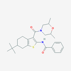 molecular formula C26H34N2O3S B289425 N-[6-tert-butyl-3-(2,6-dimethylmorpholine-4-carbonyl)-4,5,6,7-tetrahydro-1-benzothiophen-2-yl]benzamide 