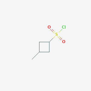 molecular formula C5H9ClO2S B2896646 3-Methylcyclobutane-1-sulfonyl chloride CAS No. 1691815-73-2