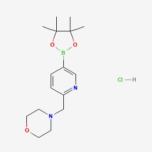 2-Morpholinopyridine-5-boronic acid pinacol ester, HCl