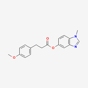 1-methyl-1H-benzo[d]imidazol-5-yl 3-(4-methoxyphenyl)propanoate