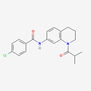 4-chloro-N-(1-isobutyryl-1,2,3,4-tetrahydroquinolin-7-yl)benzamide