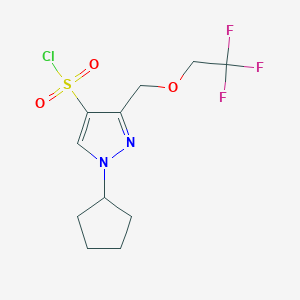 1-cyclopentyl-3-[(2,2,2-trifluoroethoxy)methyl]-1H-pyrazole-4-sulfonyl chloride