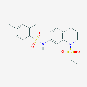 molecular formula C19H24N2O4S2 B2900797 N-[1-(ethanesulfonyl)-1,2,3,4-tetrahydroquinolin-7-yl]-2,4-dimethylbenzene-1-sulfonamide CAS No. 946374-11-4
