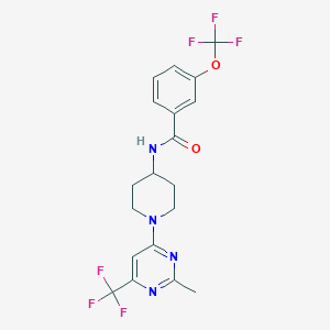 N-(1-(2-methyl-6-(trifluoromethyl)pyrimidin-4-yl)piperidin-4-yl)-3-(trifluoromethoxy)benzamide