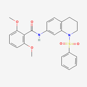 molecular formula C24H24N2O5S B2902403 N-[1-(benzenesulfonyl)-1,2,3,4-tetrahydroquinolin-7-yl]-2,6-dimethoxybenzamide CAS No. 1005299-12-6