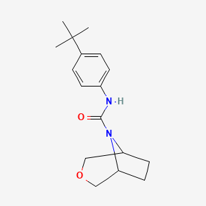 molecular formula C17H24N2O2 B2903113 N-(4-Tert-butylphenyl)-3-oxa-8-azabicyclo[3.2.1]octane-8-carboxamide CAS No. 1396862-73-9