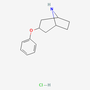 3-Phenoxy-8-azabicyclo[3.2.1]octane hydrochloride