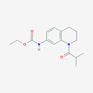 Ethyl (1-isobutyryl-1,2,3,4-tetrahydroquinolin-7-yl)carbamate