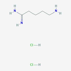 B2913030 5-Aminopentanimidamide;dihydrochloride CAS No. 2243507-29-9